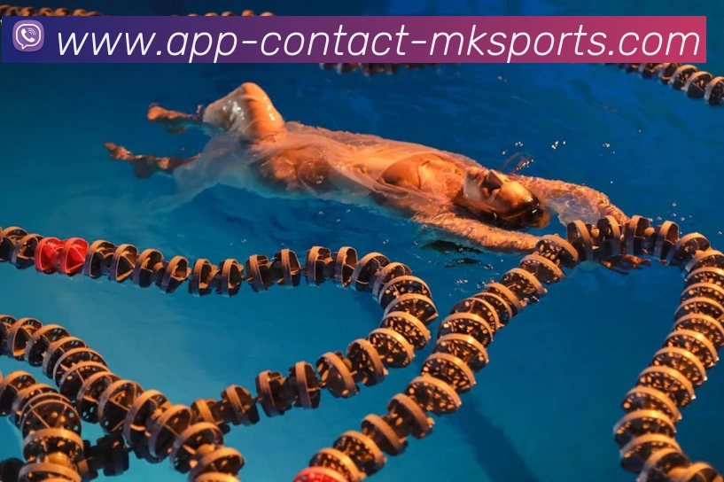 多媒体互动体验